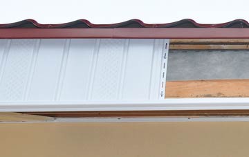 Spyway fascia repair costs