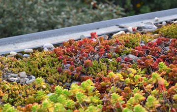 the cost of Spyway green roof installation