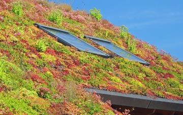 Spyway living roof systems
