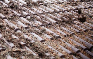 Spyway roof cleaning companies