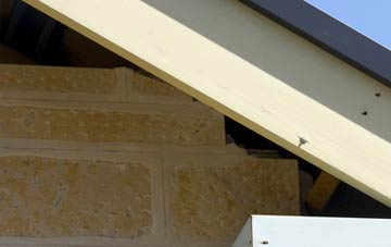 soffit repair Spyway