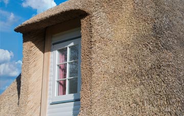 Spyway thatch roof disadvantages