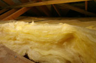Spyway pitch roof insulation