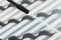 rated Spyway roof cleaning companies