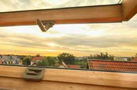 rated Spyway roof window companies